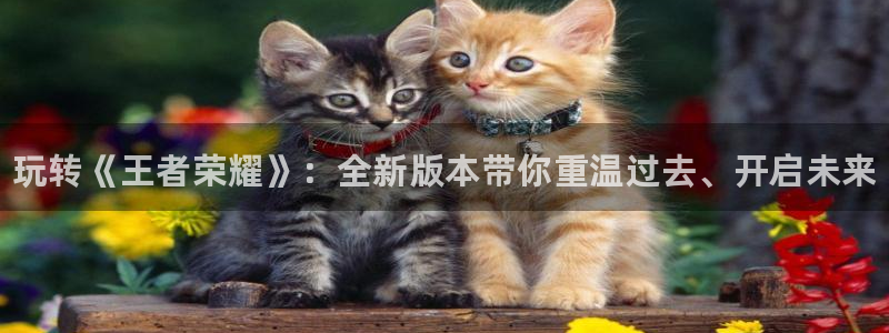 蓝冠娱乐注册：玩转《王者荣耀》：全新版本带你重温过去、开启未