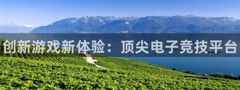 蓝冠娱乐2登录：创新游戏新体验：顶尖电子竞技平台