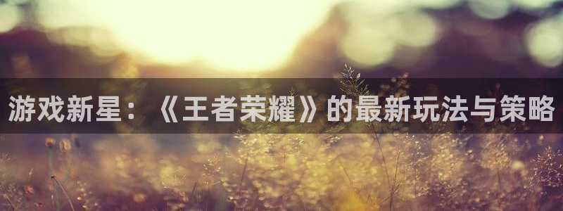 蓝冠娱乐注册官方登录app：游戏新星：《王者荣耀》的最新玩法