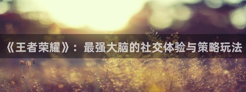 蓝冠娱乐怎么注册：《王者荣耀》：最强大脑的社交体验与策略玩法