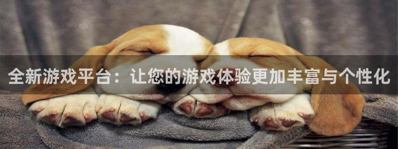 蓝冠娱乐平台登录：全新游戏平台：让您的游戏体验更加丰富与个性