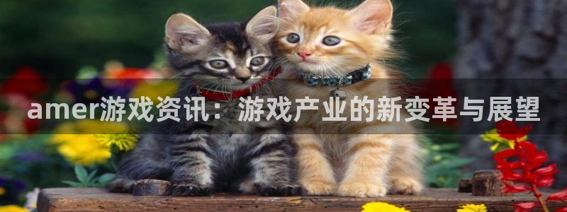 蓝冠娱乐娱乐是真的吗：amer游戏资讯：游戏产业的新变革与展