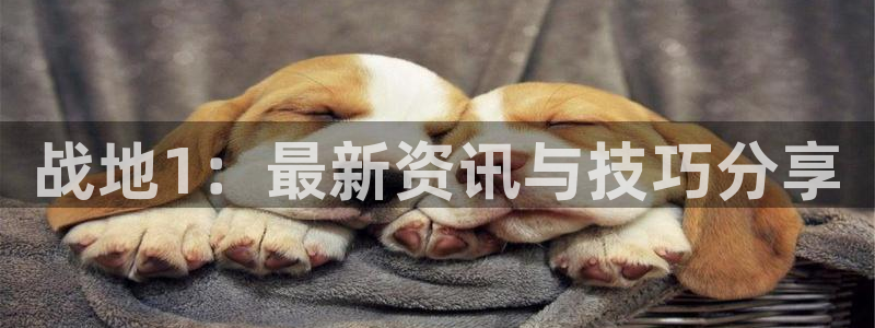 蓝冠娱乐4开户：战地1：最新资讯与技巧分享