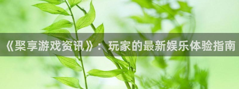 蓝冠娱乐游戏：《棸享游戏资讯》：玩家的最新娱乐体验指南