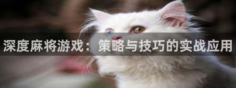 蓝冠娱乐平台注册开户：深度麻将游戏：策略与技巧的实战应用