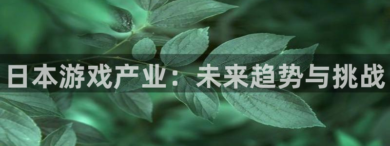蓝冠娱乐平台：日本游戏产业：未来趋势与挑战