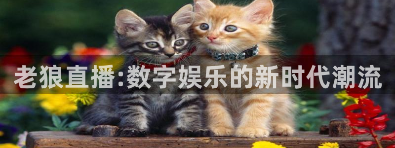 新球直播：老狼直播:数字娱乐的新时代潮流