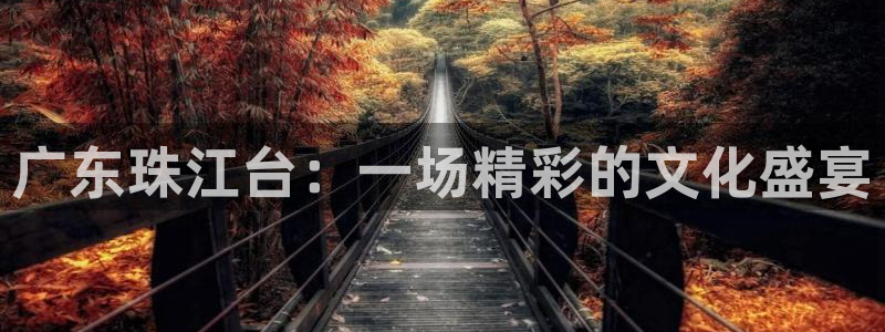 新球体育足球官网：广东珠江台：一场精彩的文化盛宴