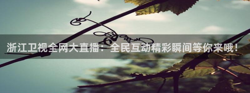新球体育比分