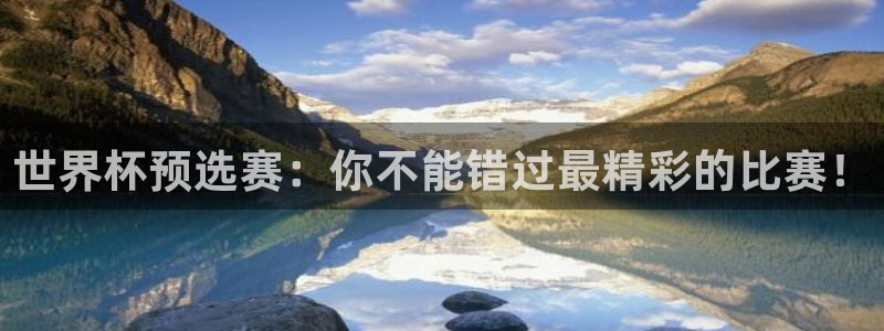 新球体育网球比分
