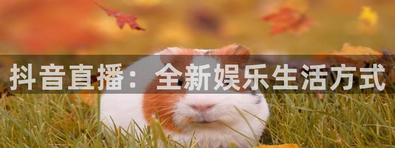 蓝冠在线：抖音直播：全新娱乐生活方式