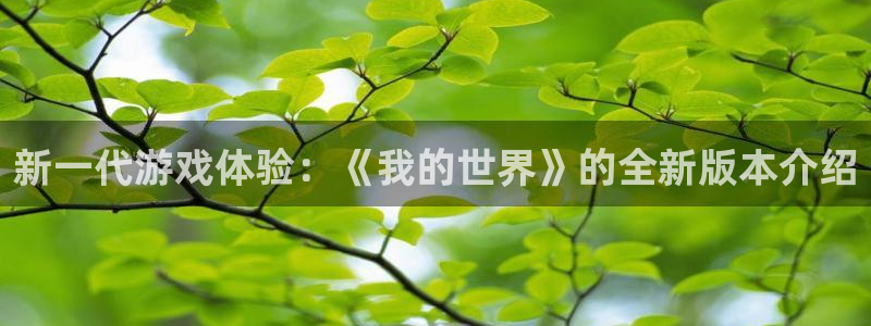 蓝冠招商首页网址：新一代游戏体验：《我的世界》的全新版本介绍