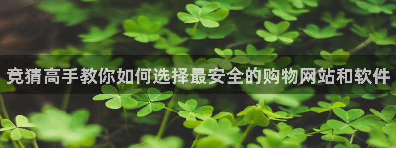 蓝冠招商首页：竞猜高手教你如何选择最安全的购物网站和软件