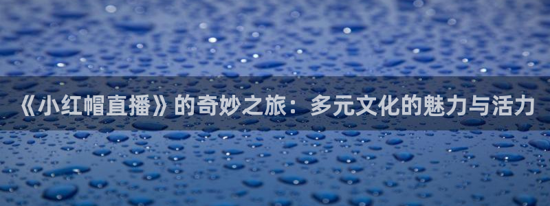 新球体育篮球比分：《小红帽直播》的奇妙之旅：多元文化的魅力与活力