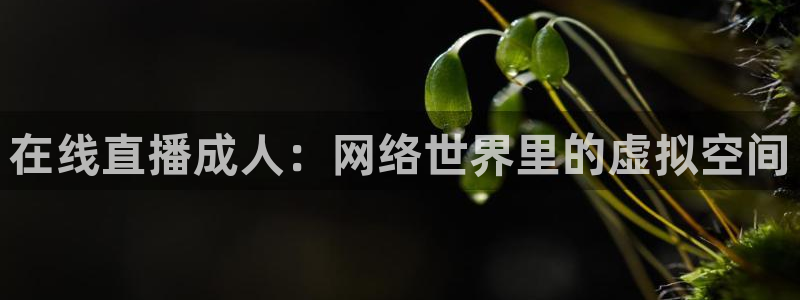 新球体育足球即时比分：在线直播成人：网络世界里的虚拟空间