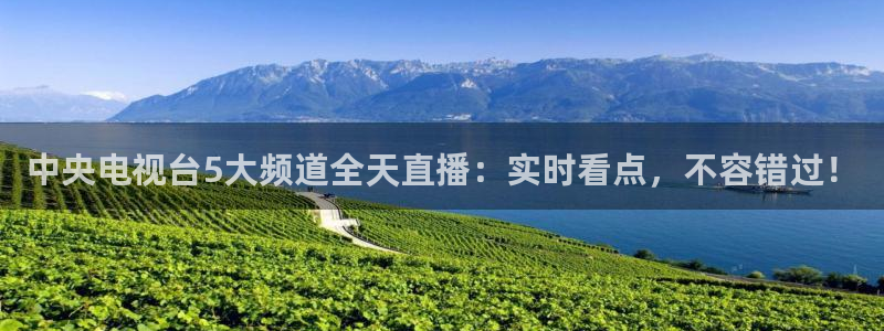 新体球即时比分新球体育：中央电视台5大频道全天直播：实时看点，不容错过！