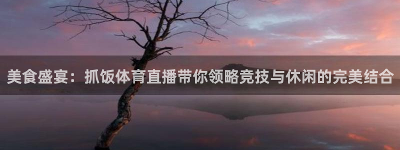 新球体育app：美食盛宴：抓饭体育直播带你领略竞技与休闲的完美结合
