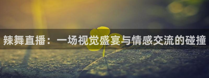 新球体育足球官网：辣舞直播：一场视觉盛宴与情感交流的碰撞
