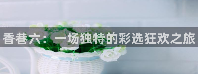 新球网直播：香巷六：一场独特的彩选狂欢之旅