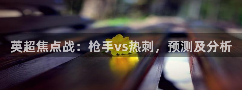 新体球即时比分新球体育：英超焦点战：枪手vs热刺，预测及分析